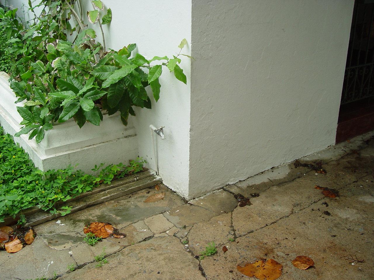 Calle Trigo 555 - San Juan (Miramar) - 2005 00010